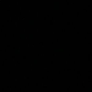 Meet your Posher, Dangelo